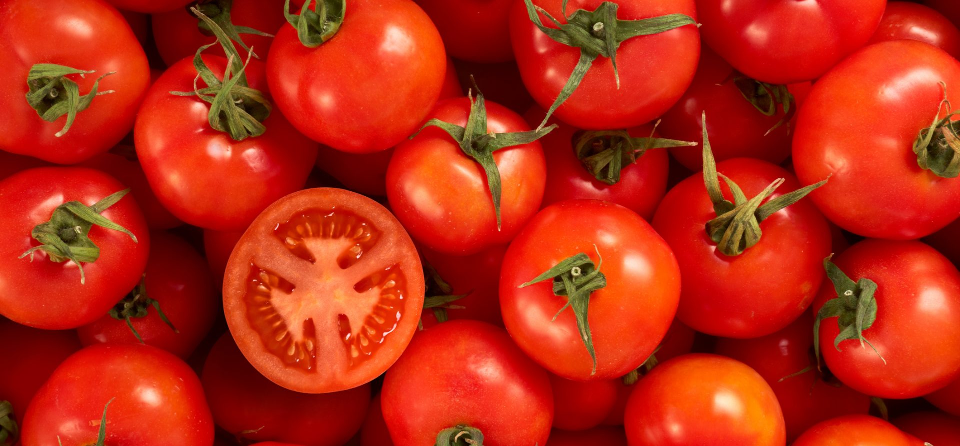 fresh tomatoes
