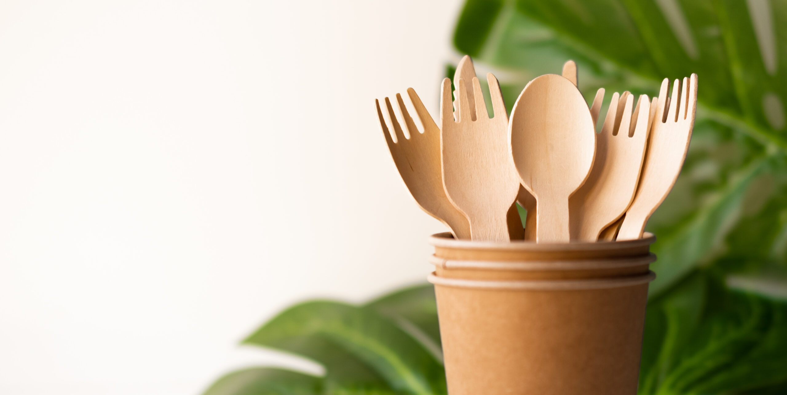 sustainable utensils in a paper cup
