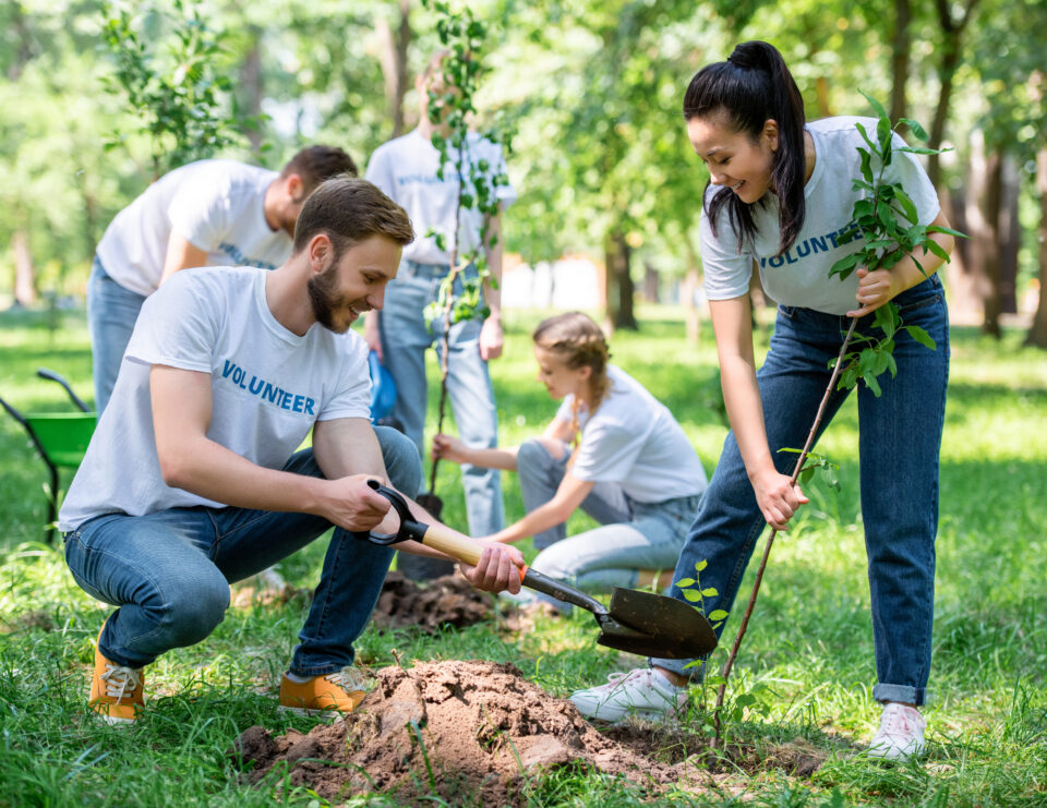 volunteers planting trees